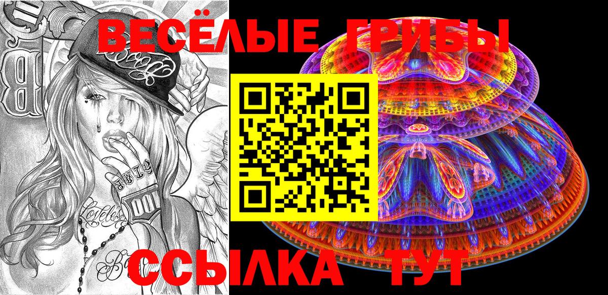 Чистополь  Псилоцибиновые грибы Magic Shrooms  Вход с VPN 